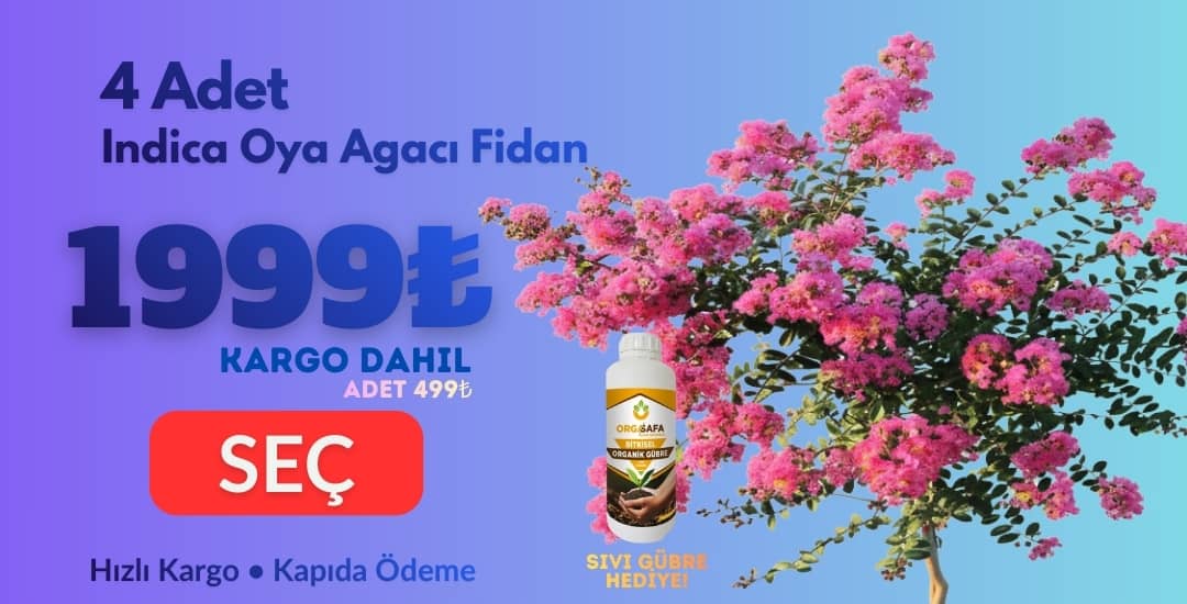 İndica 4 Adet + Sıvı Gübre