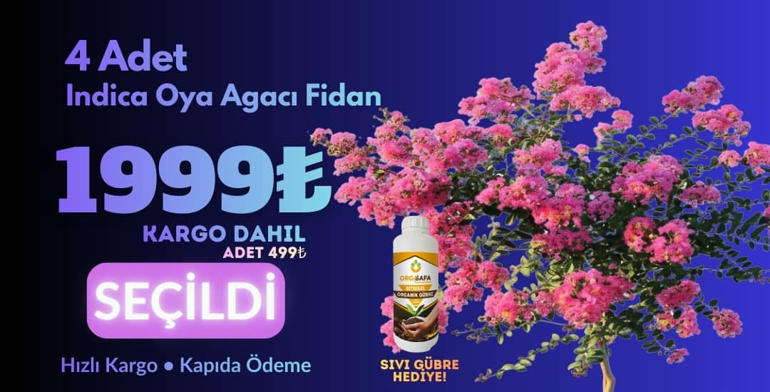 İndica 4 Adet + Sıvı Gübre