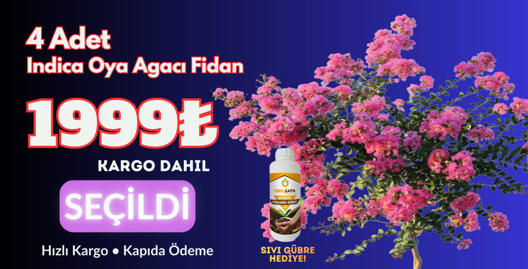 İndica 4 Adet + Sıvı Gübre